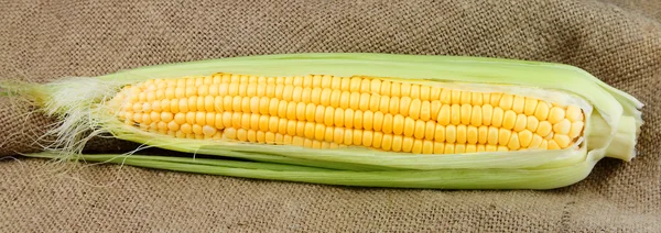 Кукуруза на льняной текстуре — стоковое фото