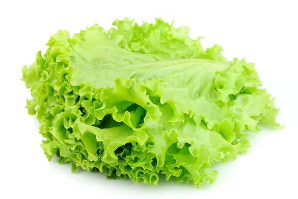 Lettuce close up — Stock Photo, Image