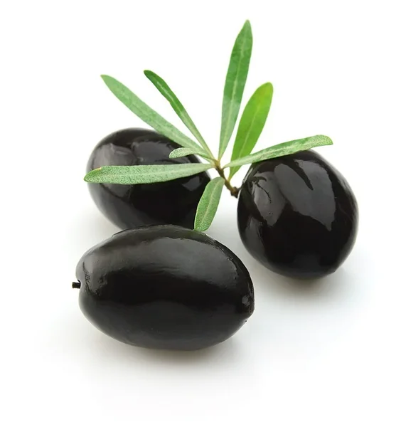 Olivenzweig mit Blättern — Stockfoto