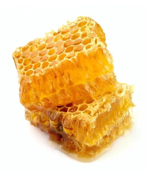 Nid d'abeille de près — Photo