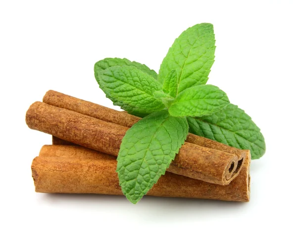 Sticks of cinnamon with mint — Stock Photo, Image