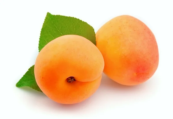 Twee abrikozen — Stockfoto