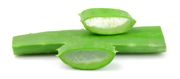 Aloe vera closeup — Stock Photo, Image