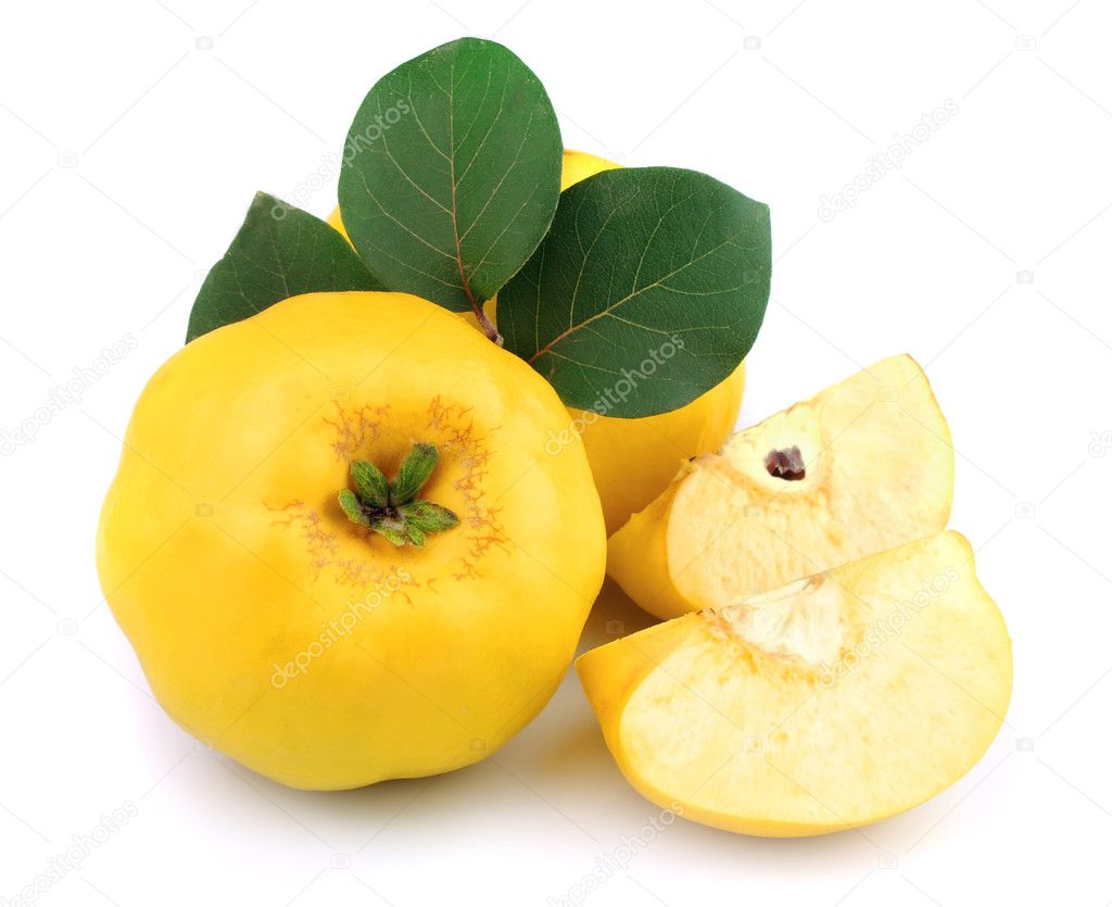 Ripe quince with leaves
