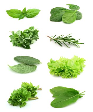 Collage of green and juice spice