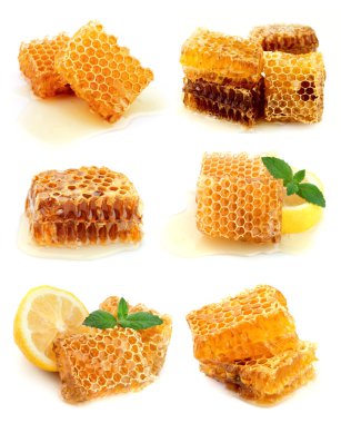 Collection of honey clipart