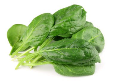 Spinach on white clipart