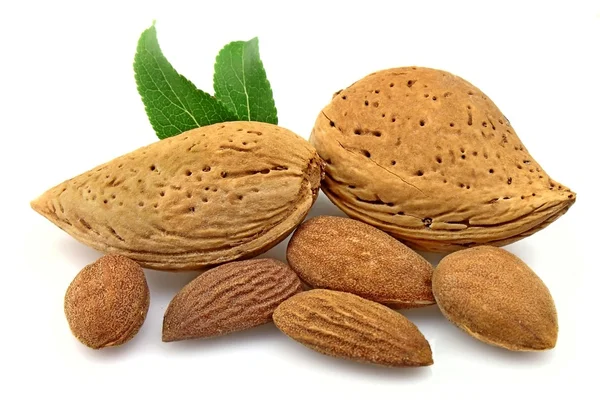 Dried almonds — Stock Photo, Image