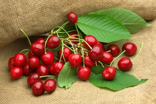 Ripe black cherry — Stock Photo, Image