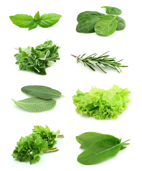 Collage of green and juice spice — Stock Photo, Image
