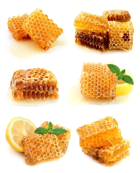 Collection of honey — Stock Photo, Image