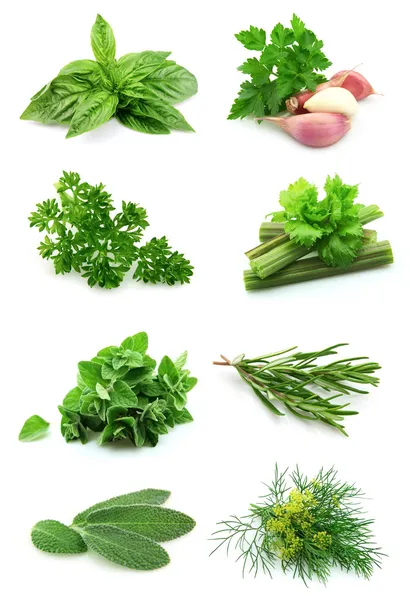 Collage of green — Stock Photo, Image