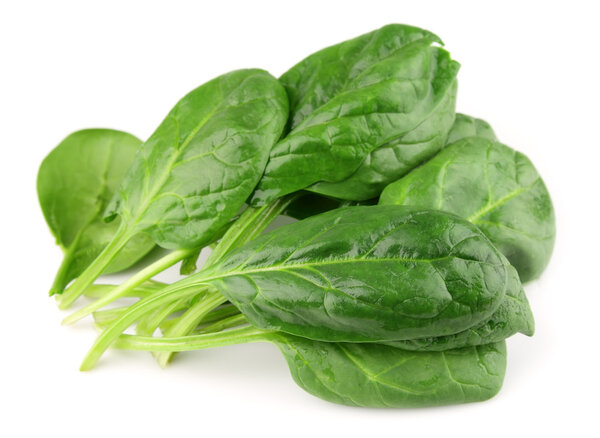 Spinach on white