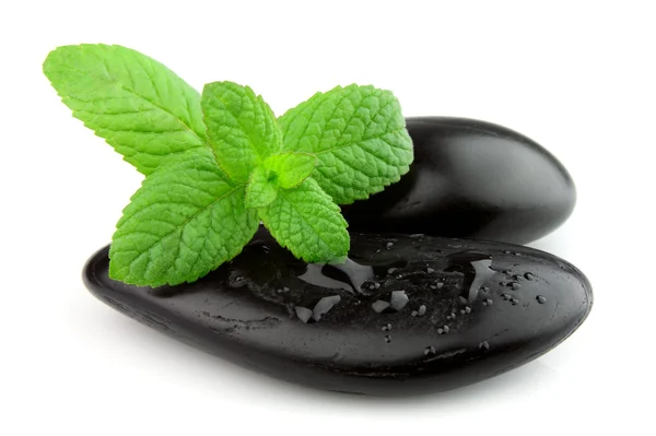 Fresh mint on the black stones — Stock Photo, Image