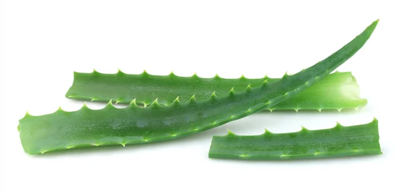 Aloe vera closeup — Stock Photo, Image