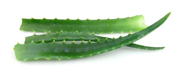 Aloe vera flowers — Stock Photo, Image