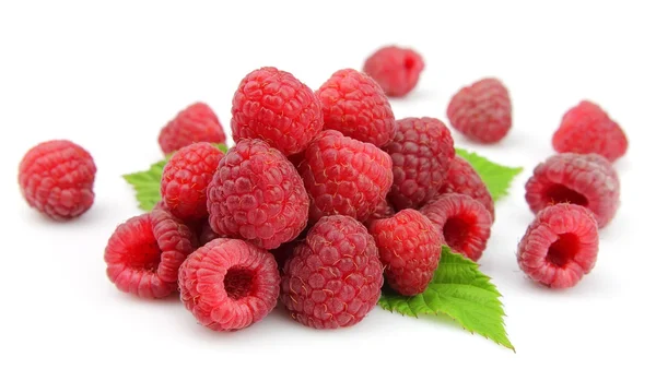 Raspberry with leafs Stock Photo