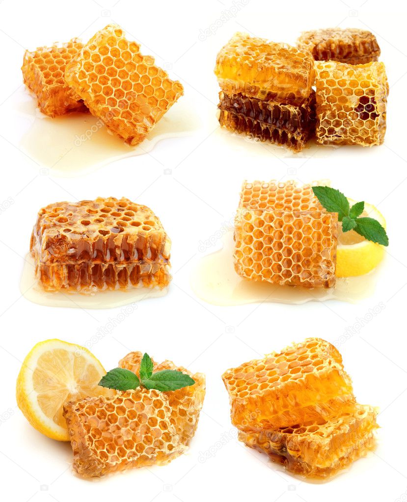 Collection of honey