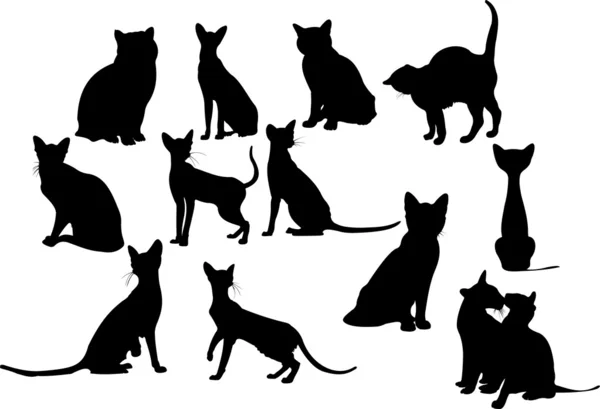 stock vector Twelve cats silhouettes. Vector illustration