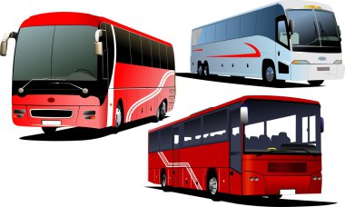 Three Tourist buses. Vector illustration clipart