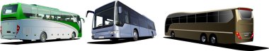 Three Tourist buses. Coach clipart