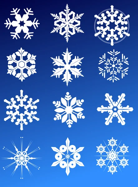 Twelve snowflakes — Stock Vector