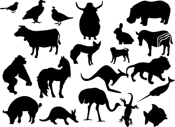 Μαύρο ζώα σιλουέτες — Διανυσματικό Αρχείο
