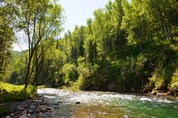 stock image Mountains river