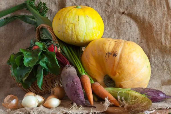 Harvested vegetables — Stock Photo, Image