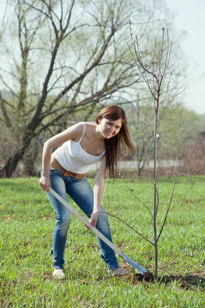 Kvinna plantera träd — 图库照片