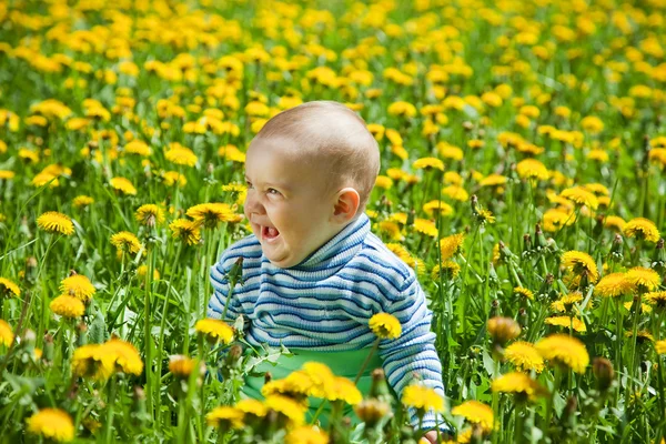 Seven months baby sitting in meadow — Stock Photo, Image