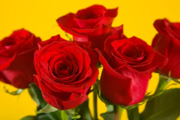 stock image Bouquet of scarlet roses