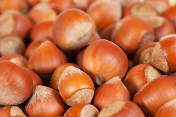 Background of hazelnuts — Stock Photo, Image