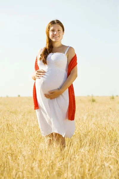 ライ麦のフィールドでの妊娠中の女性 — ストック写真