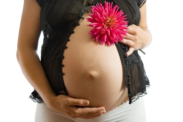 Gravid kvinna med blomma — Stockfoto