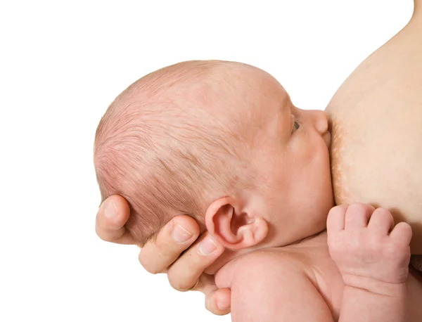 小さな赤ちゃんの授乳 — ストック写真