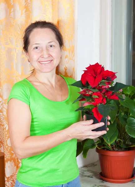Femme mûre avec des fleurs Poinsettia — Photo