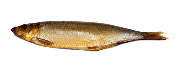 Smoked herring fish — Stock Photo, Image
