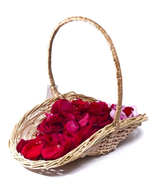 Basket for a holiday — Stock Photo, Image