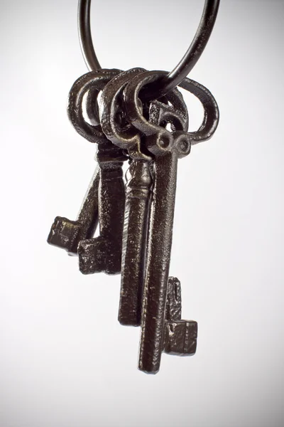 Keys fortunately — Stock Photo, Image