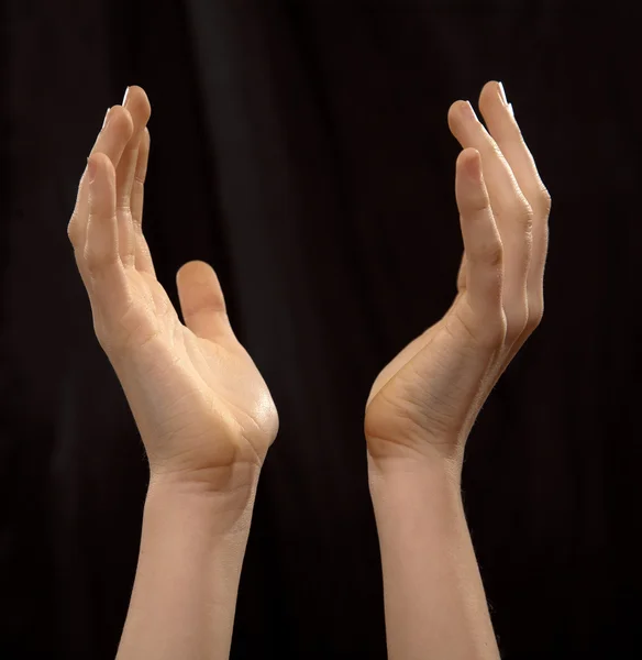 Two hands — Stock Photo, Image