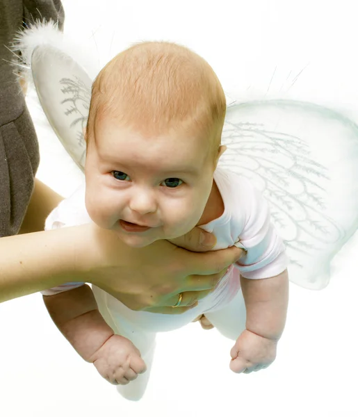 Hands keeps newborn with wing — Stock Photo, Image