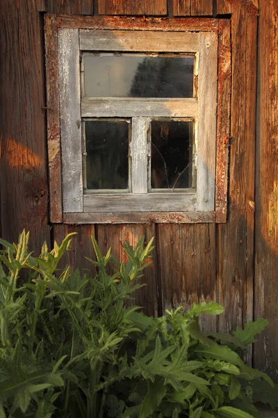 Old wooden window — Stock Photo, Image