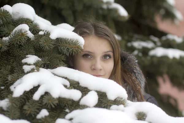 Wintermädchen hinter Schneebaum — Stockfoto