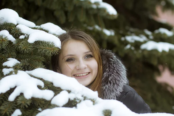 Winter girl behind snow tree — Stock Photo, Image