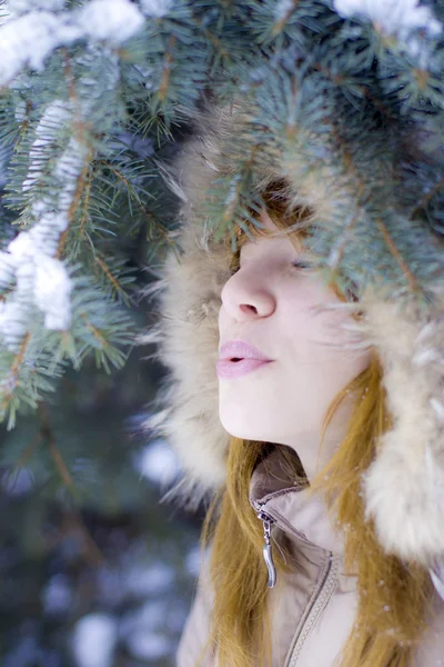 Зимняя девушка за снежным деревом — стоковое фото