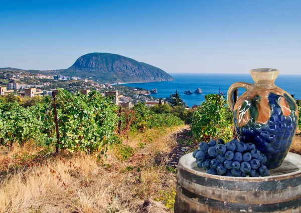 Kebun anggur dan laut — Stok Foto