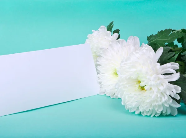 stock image Three white chrysanthemums and postcard