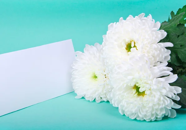 stock image Three white chrysanthemums and postcard