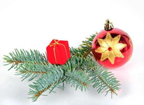 Boże Narodzenie dekoracje z świerk — Zdjęcie stockowe